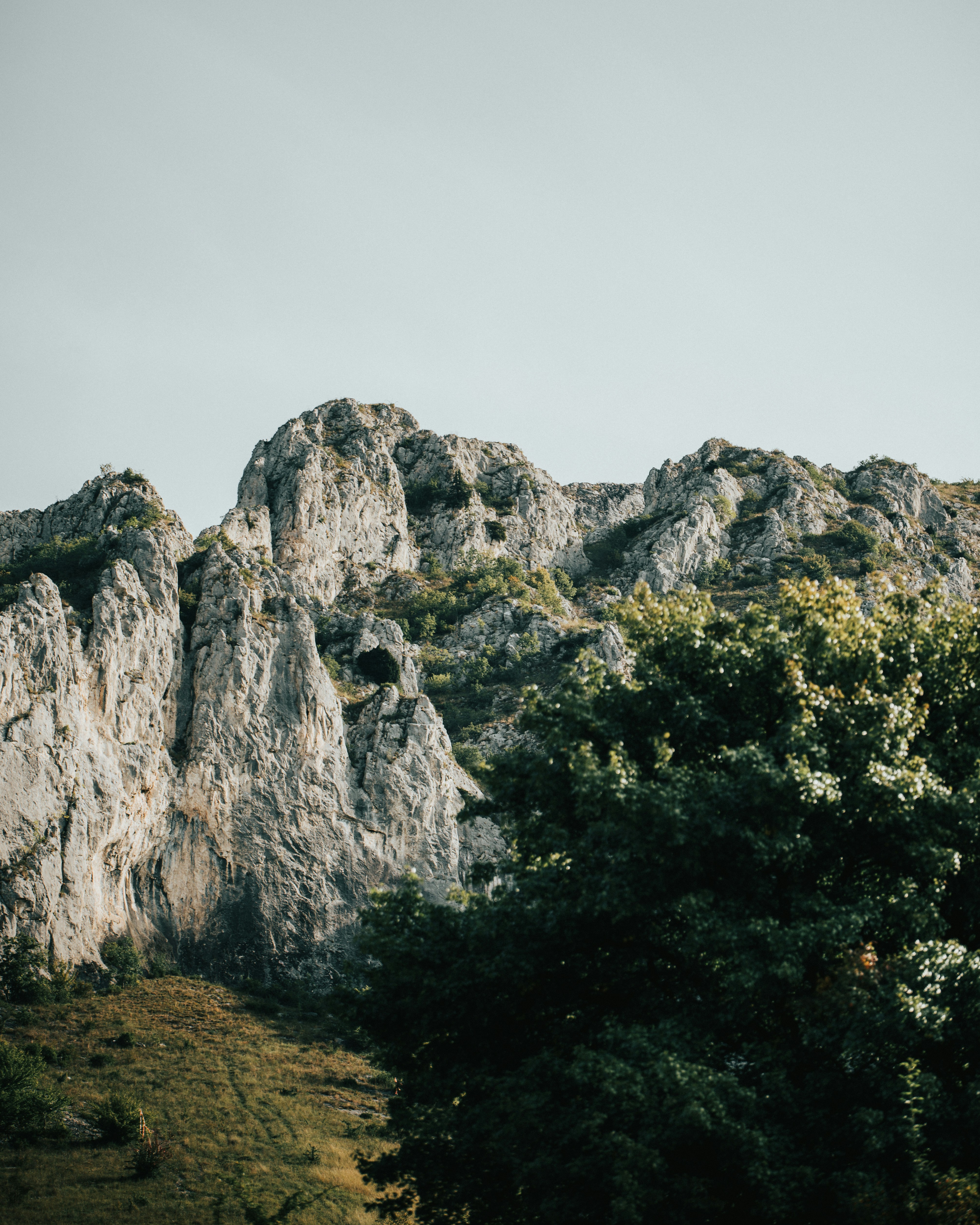 Photo by tamas_tuzeskatai