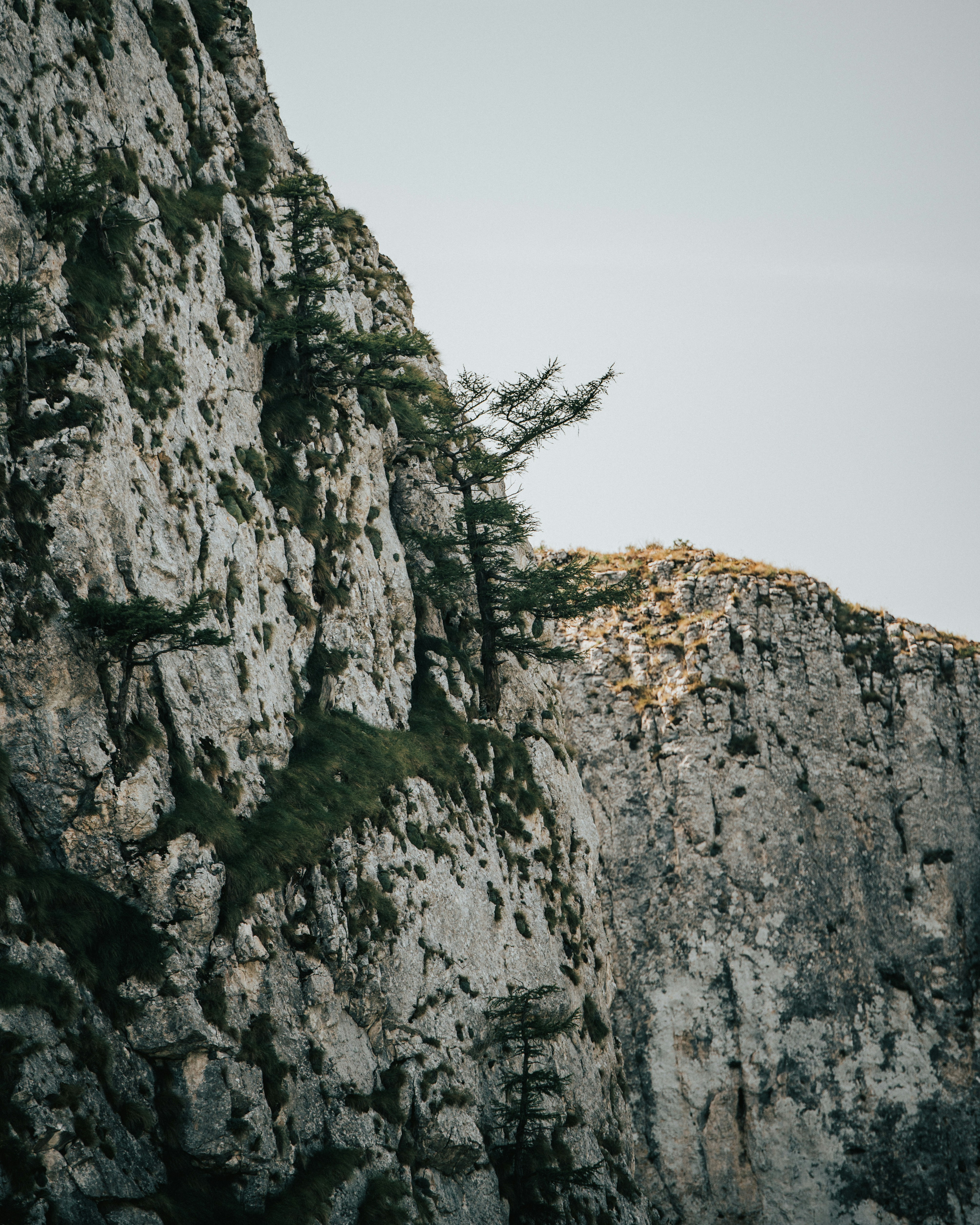 Photo by tamas_tuzeskatai