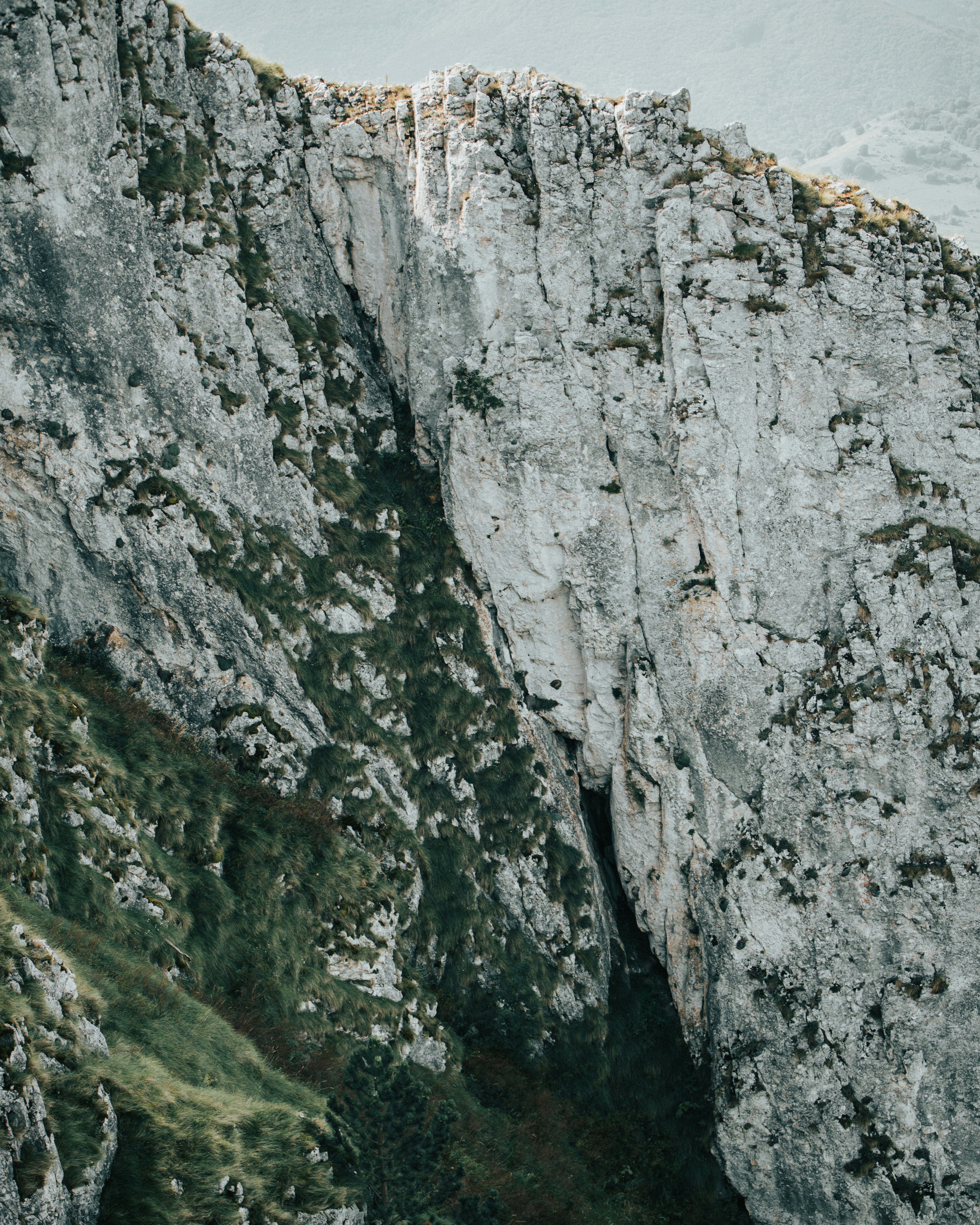 Photo by tamas_tuzeskatai