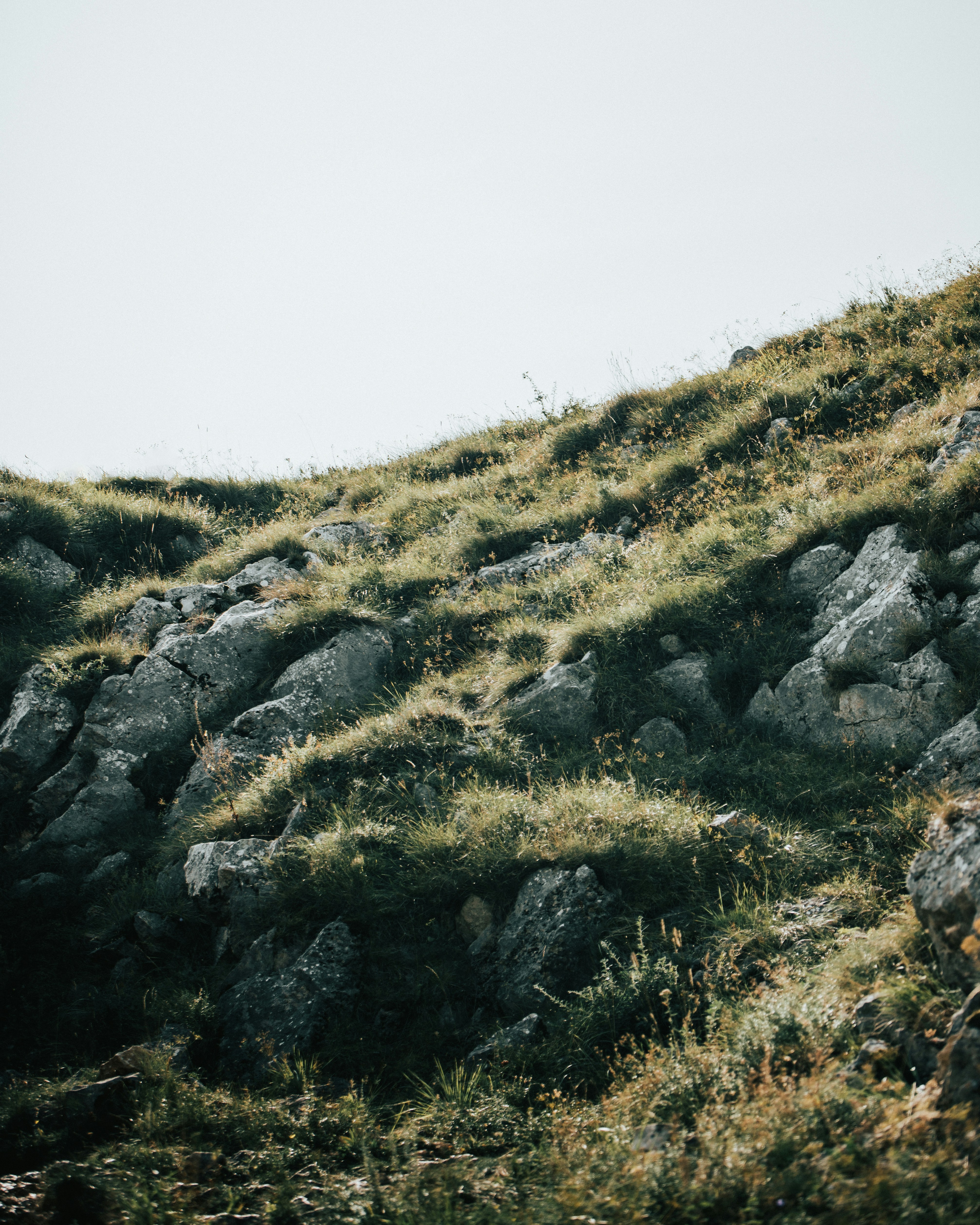 Photo by tamas_tuzeskatai