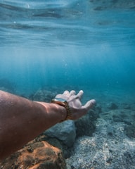 Close-up of a diver's hand touching colorful underwater rocks.