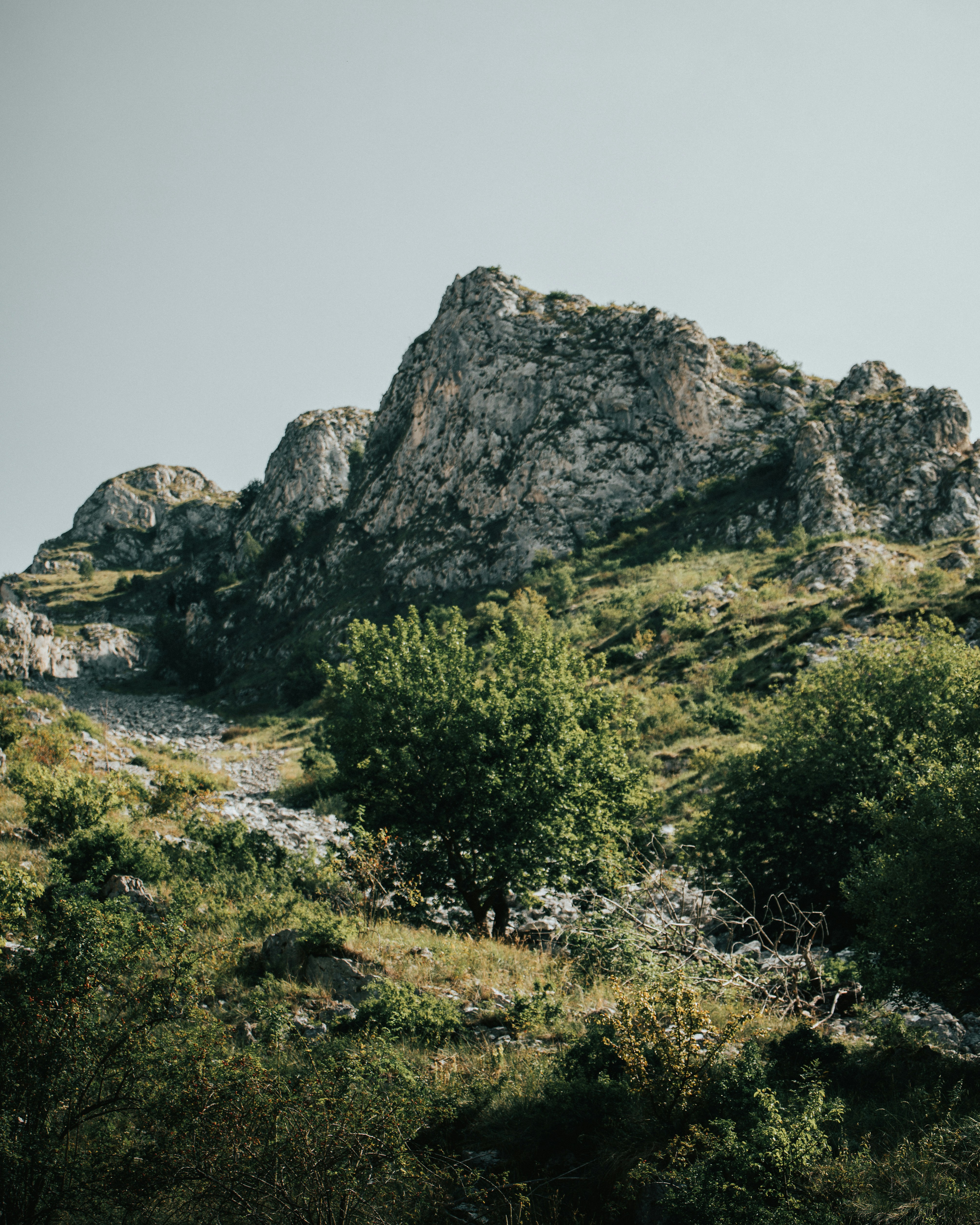 Photo by tamas_tuzeskatai