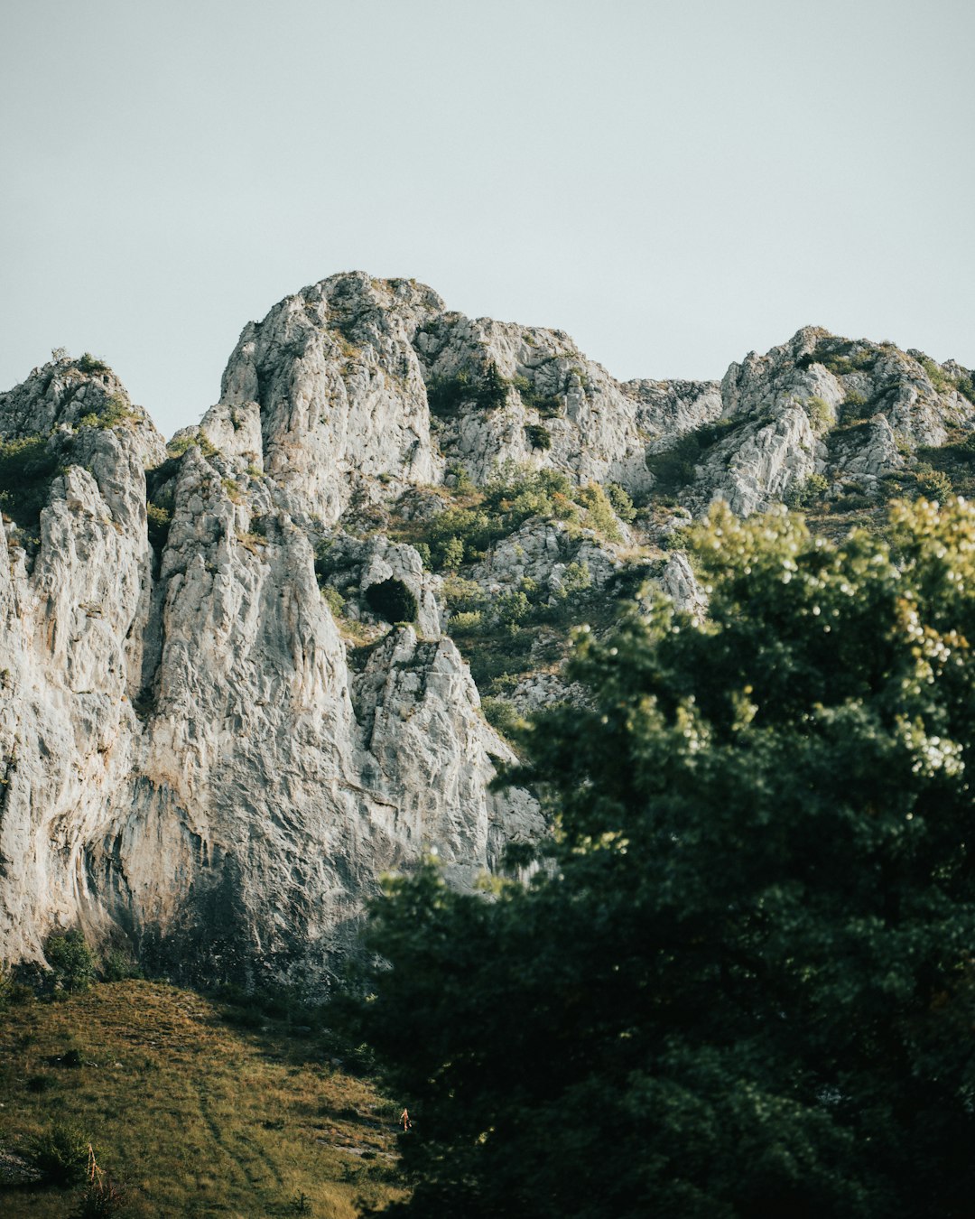 green trees near gray rock mountain during daytime