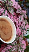 A cup of coffee is placed among a cluster of vibrant pink and green leaves. The leaves are large and show intricate patterns, with some parts shaded by other foliage. The coffee cup is white and the coffee appears freshly brewed with a foamy surface.