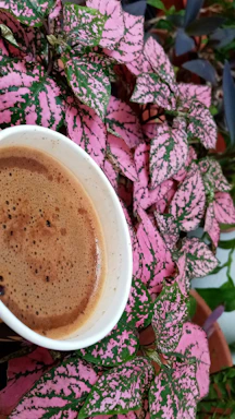 Close-up of a steaming cup of rich Colombian coffee surrounded by green coffee leaves.