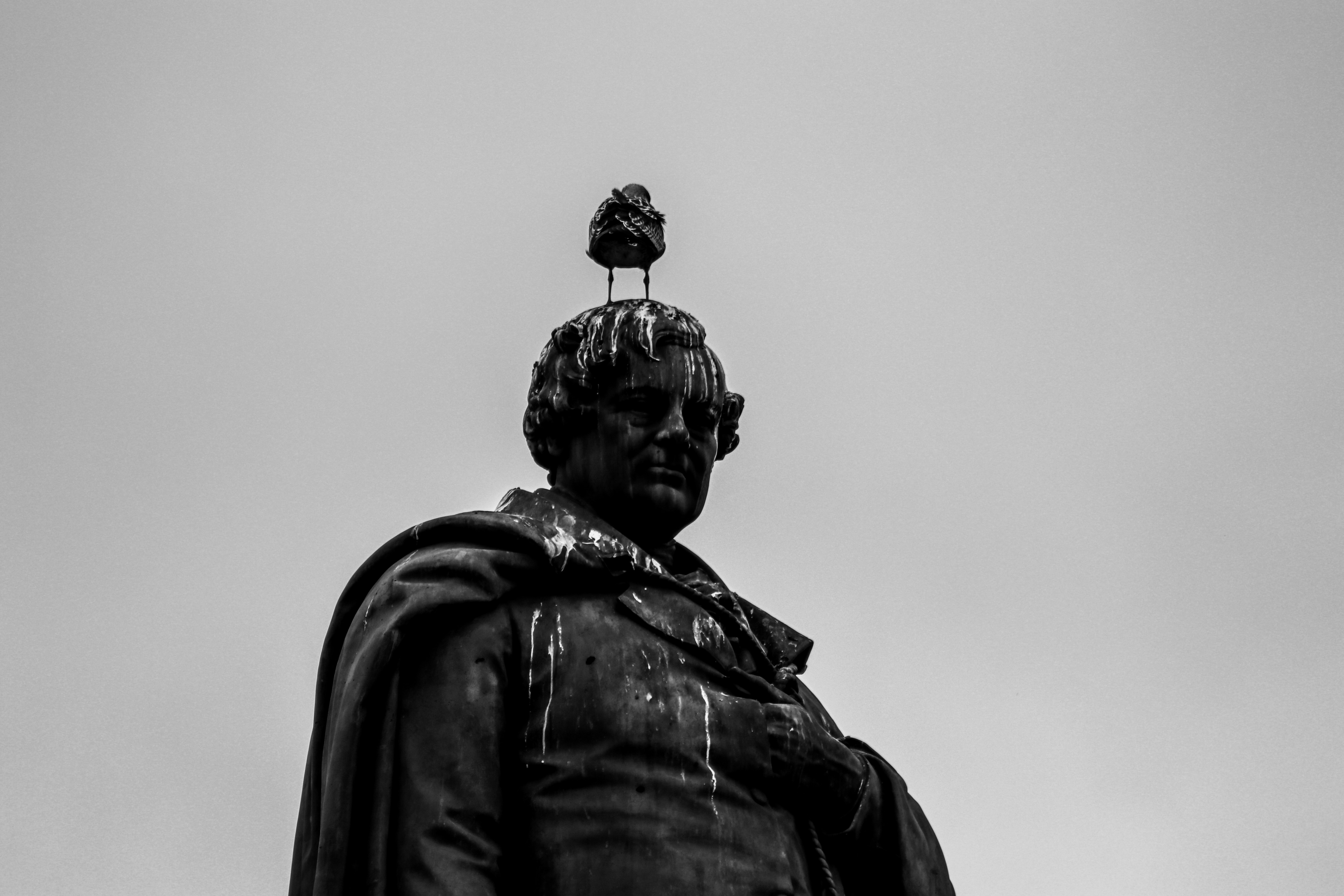 Grayscale photo of man statue photo Free Statue Image on Unsplash