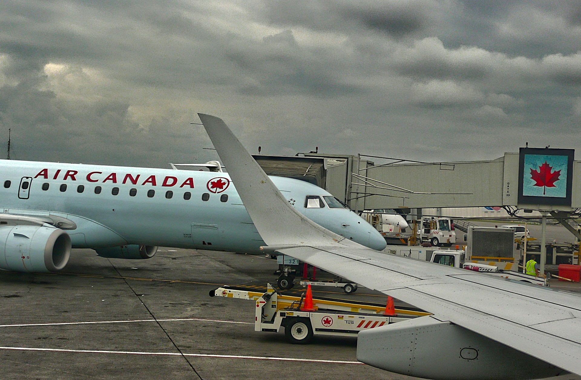 woman wearing yellow long-sleeved dress under white clouds and blue sky during daytime