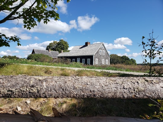 brown wooden log on green grass field near brown wooden house under blue sky during daytime in New Ross Canada