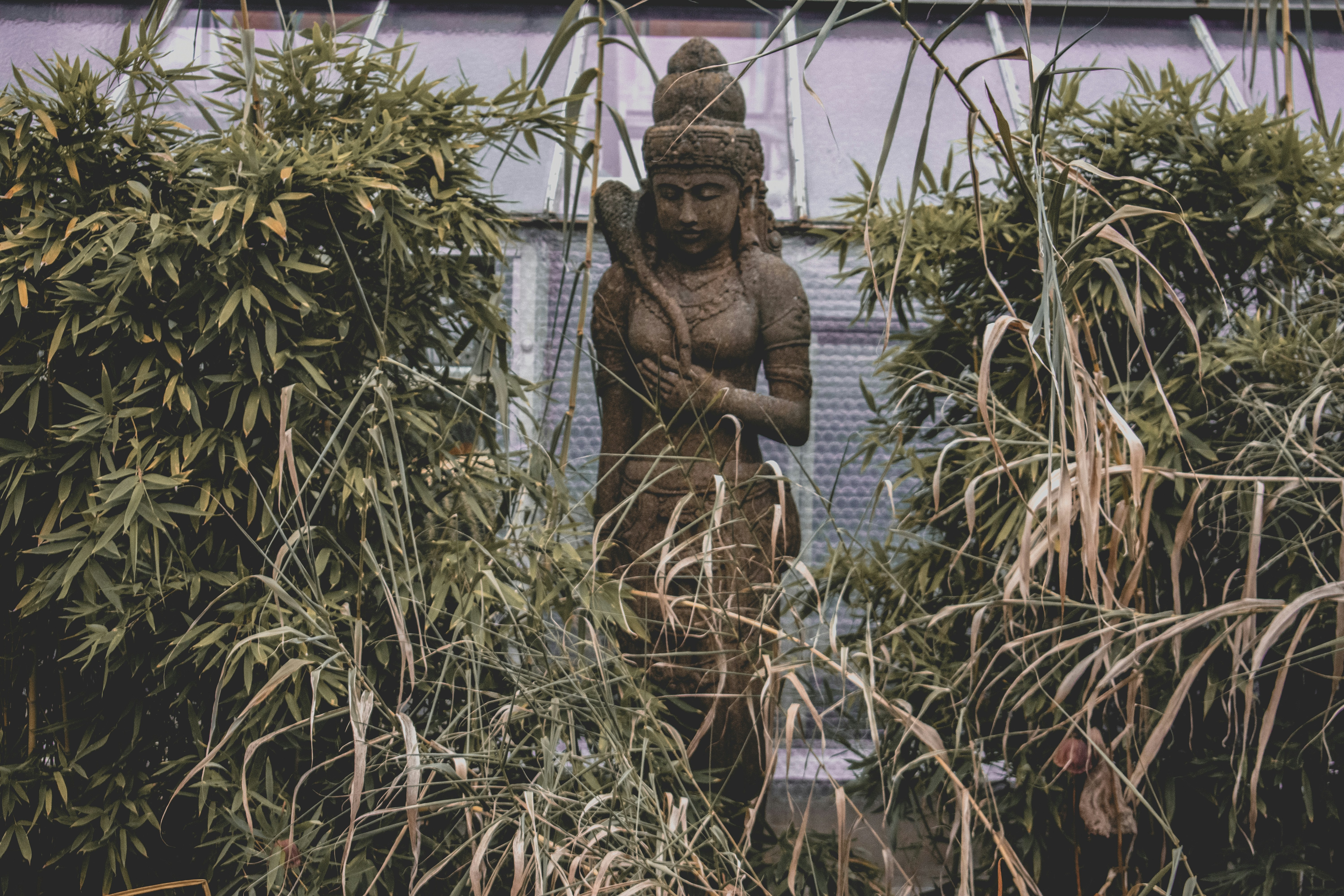 brown concrete statue surrounded by green plants