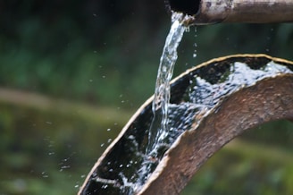 A stream of water flows from a bamboo pipe, cascading down onto a slick wooden surface. The surrounding environment includes soft-focused greenery in the background.