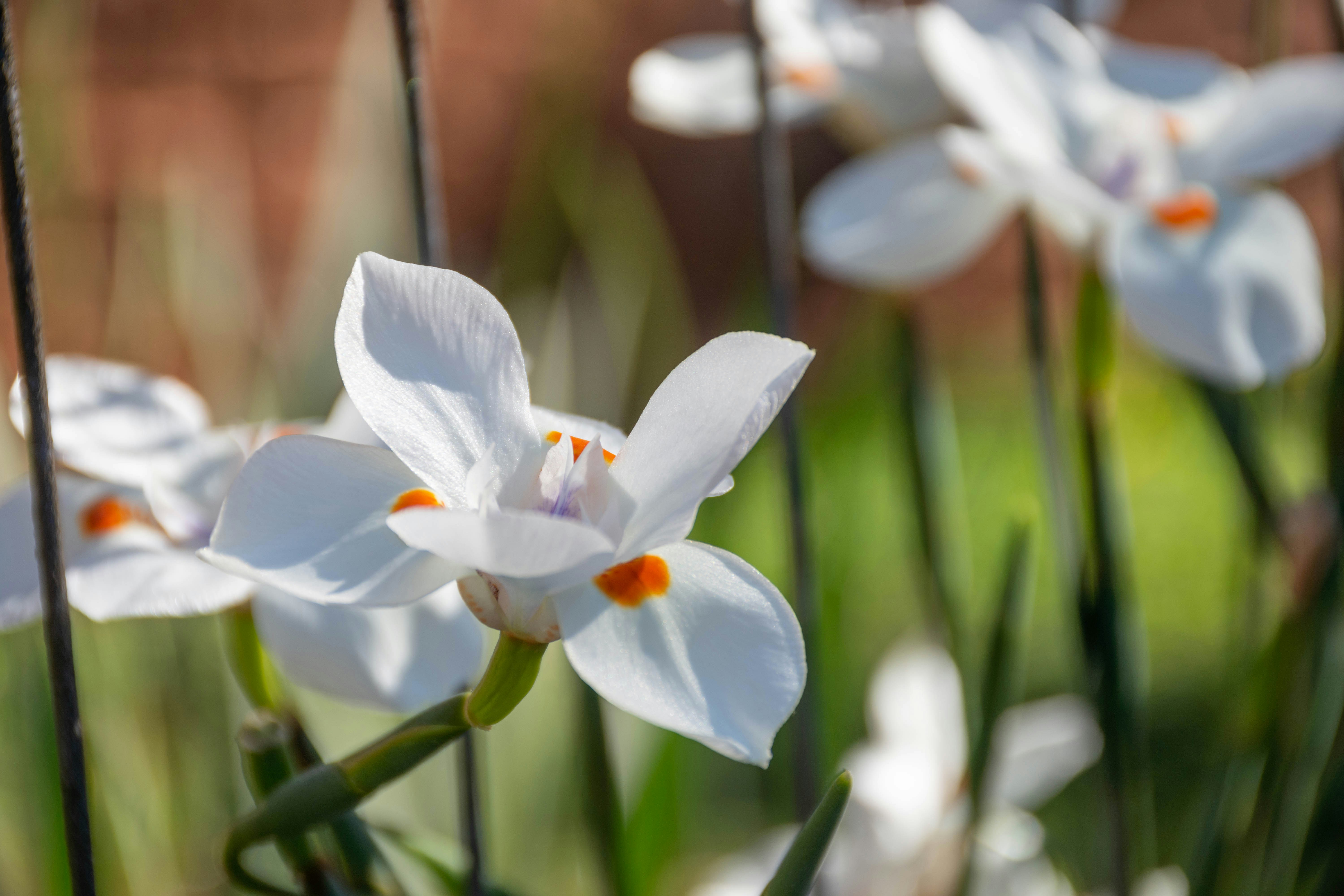 Photo by lucasgwendt