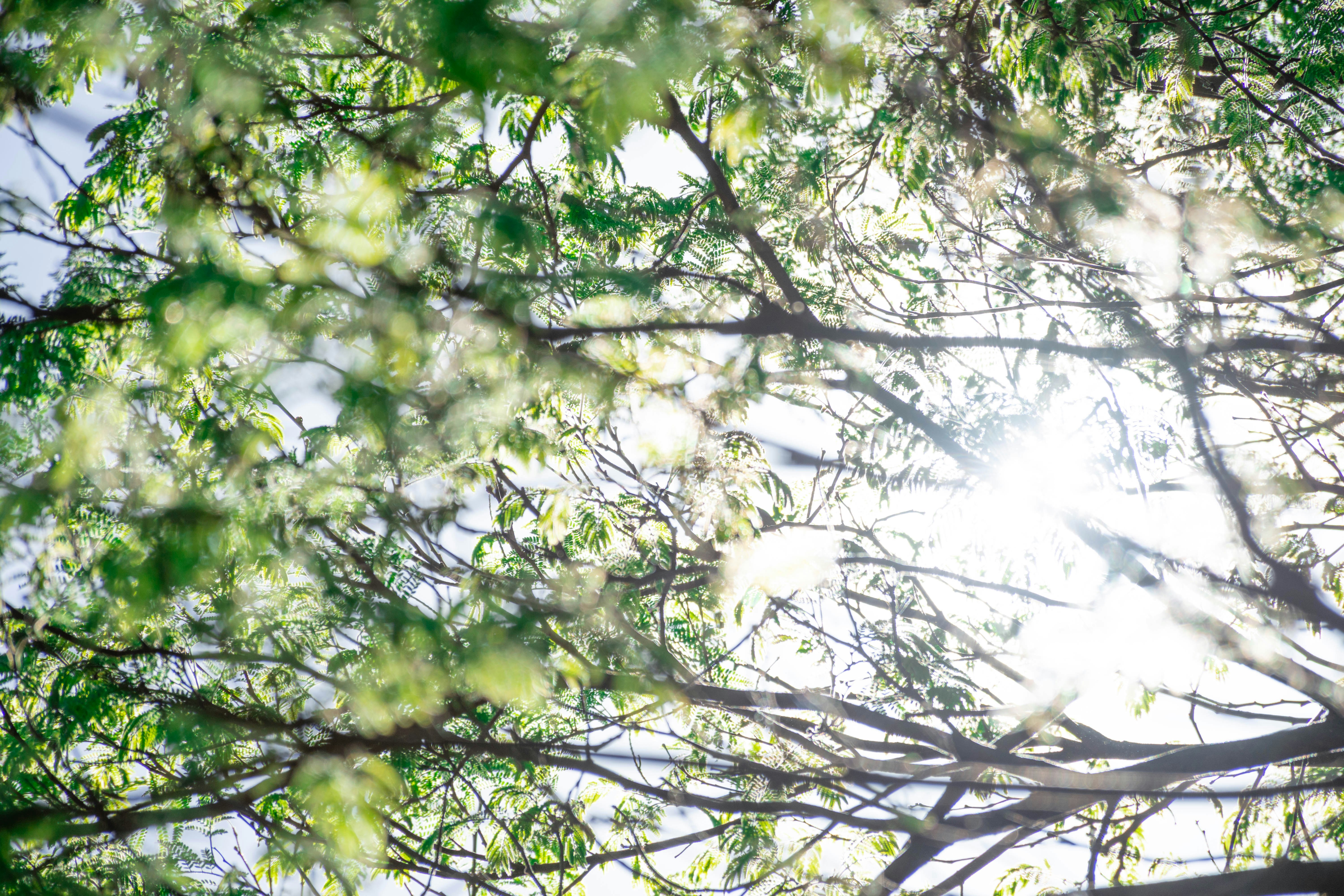 Photo by lucasgwendt