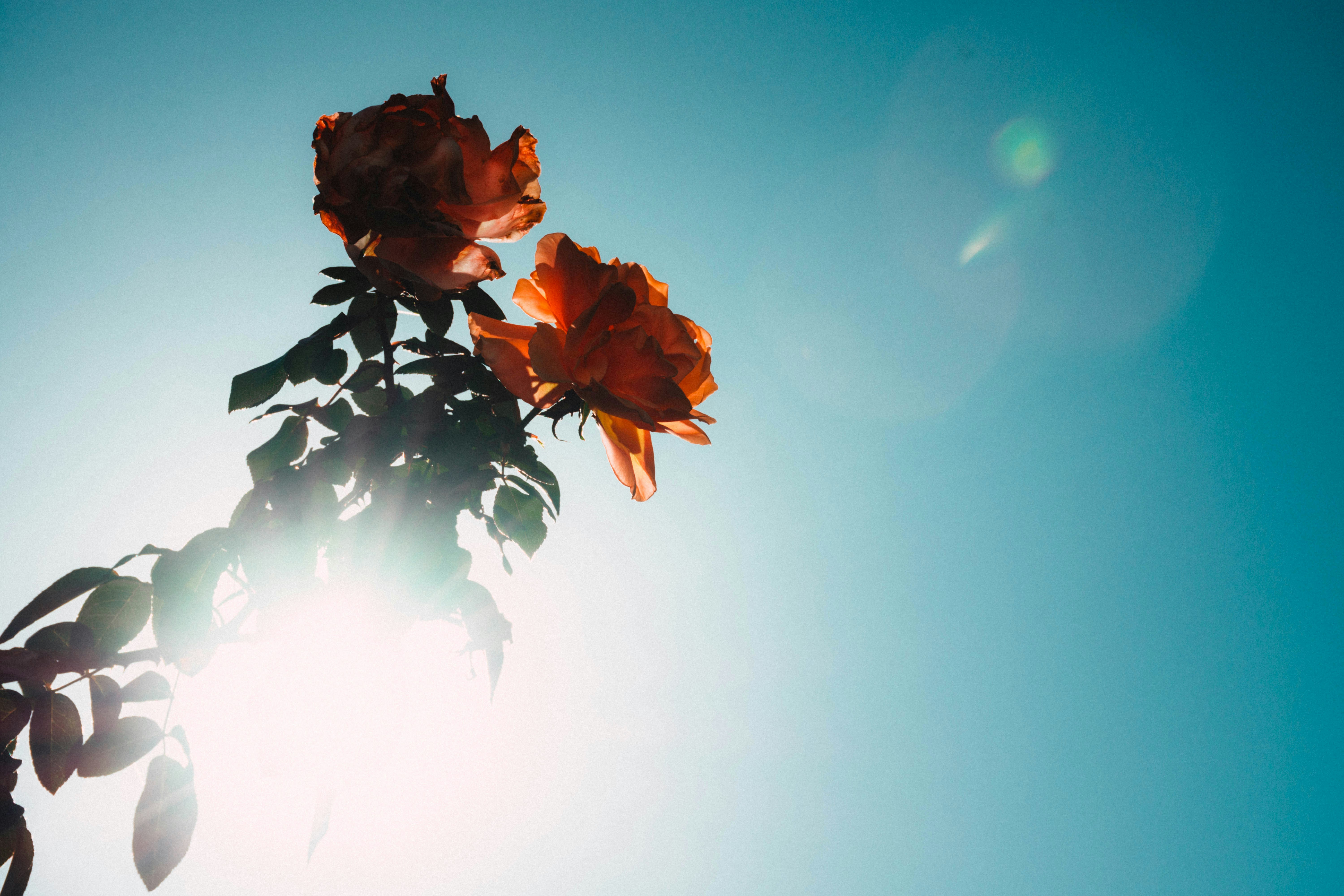 Photo by lucasgwendt