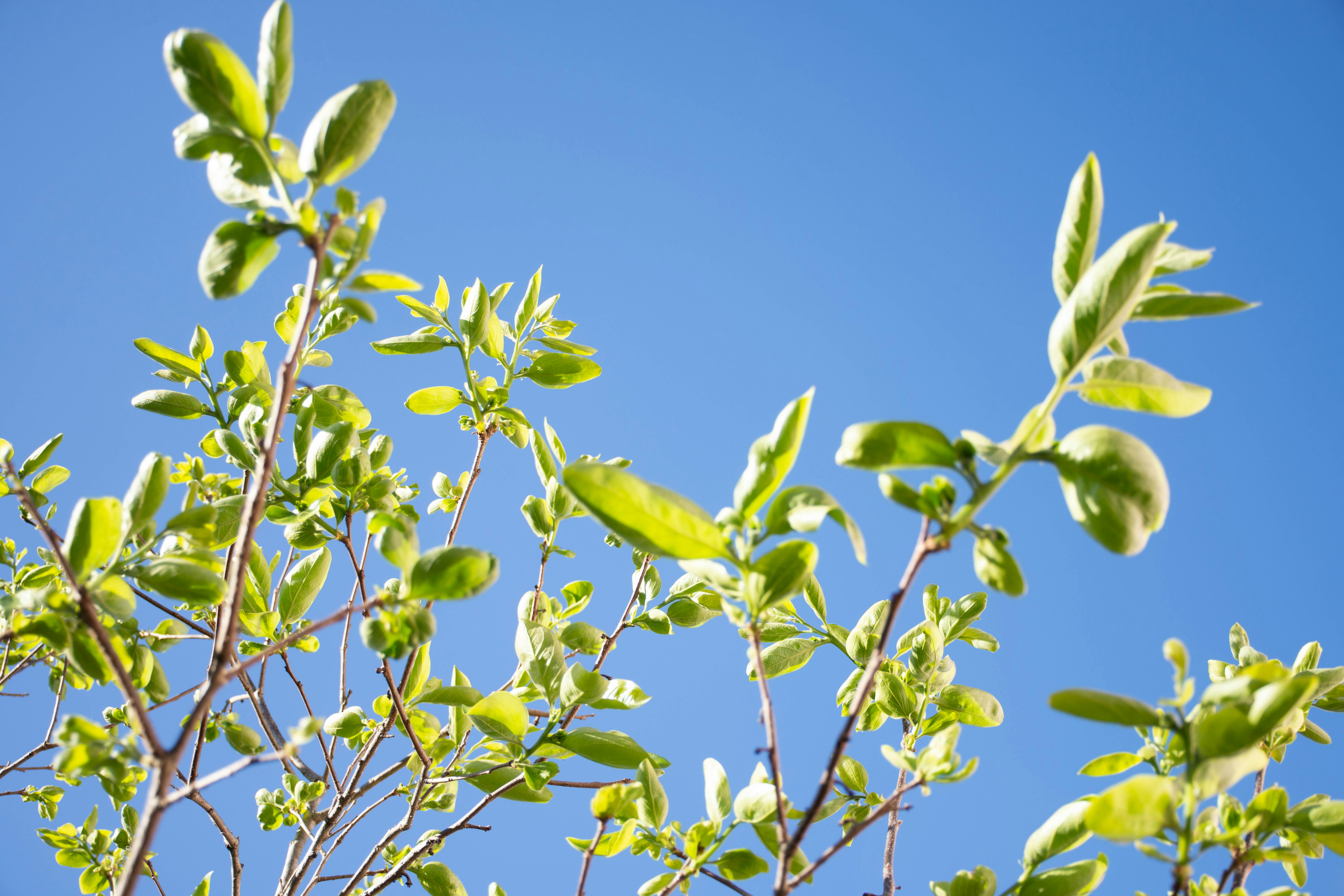 Photo by lucasgwendt