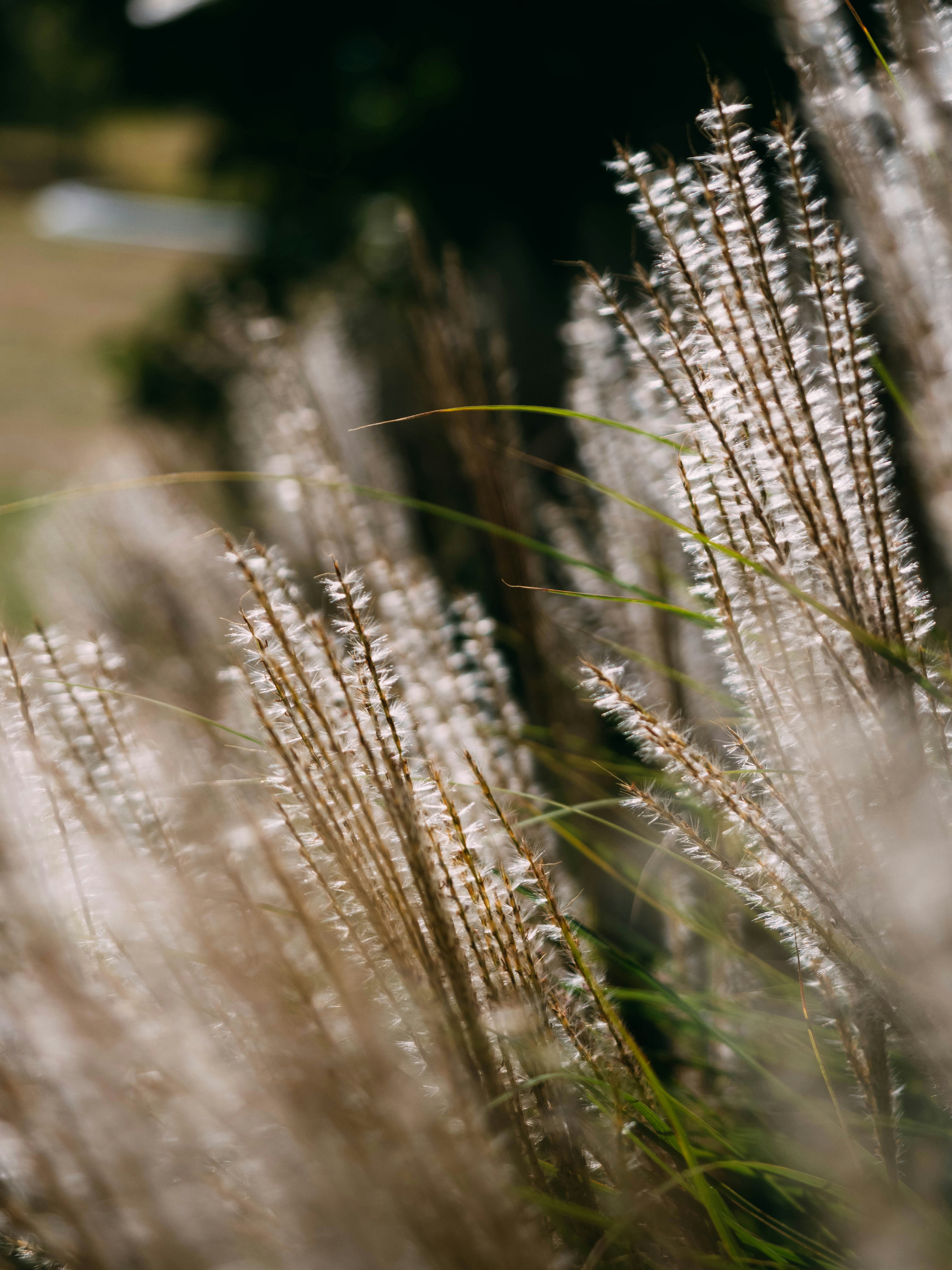 Photo by brechtdenil