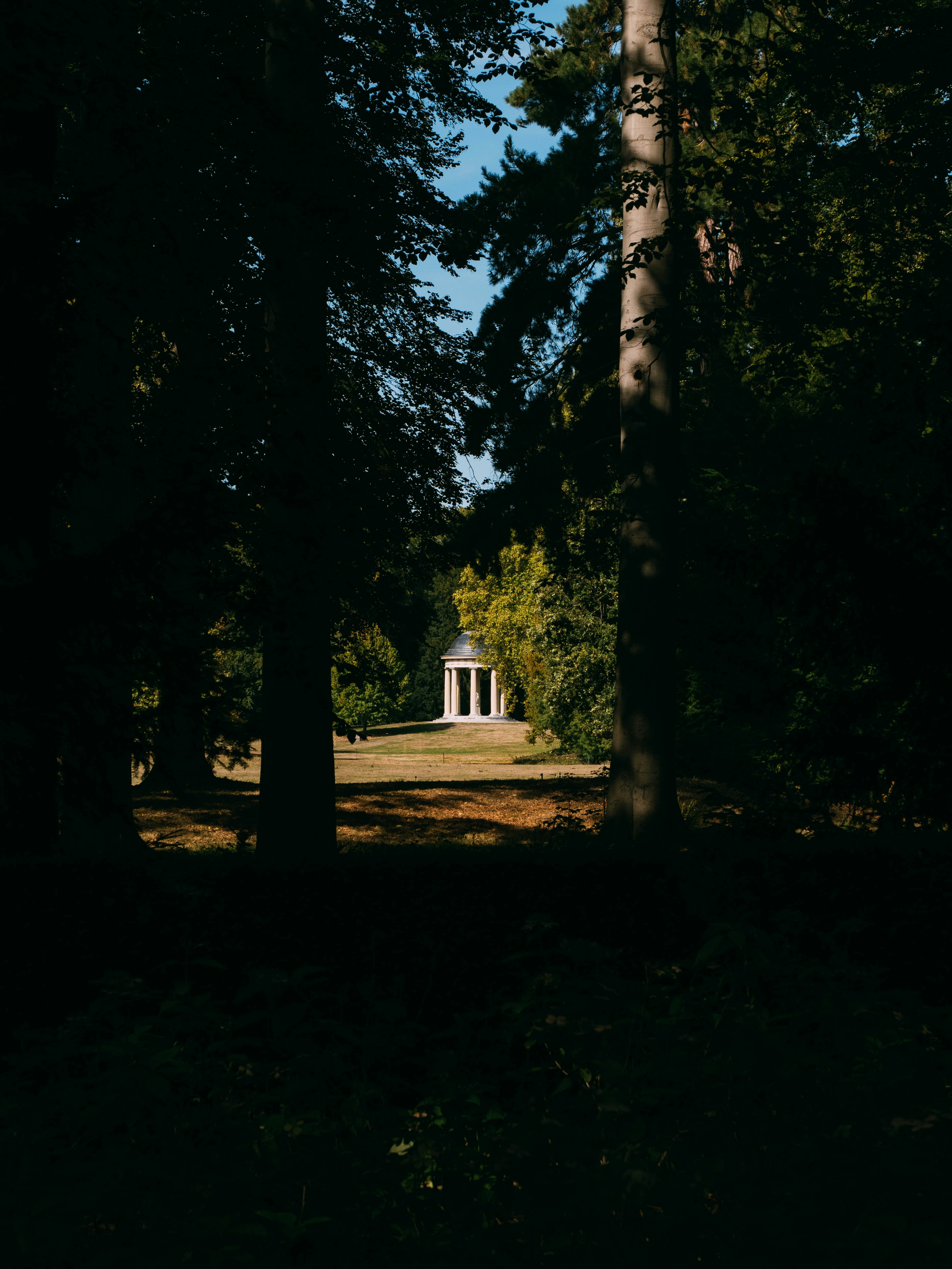 Photo by brechtdenil