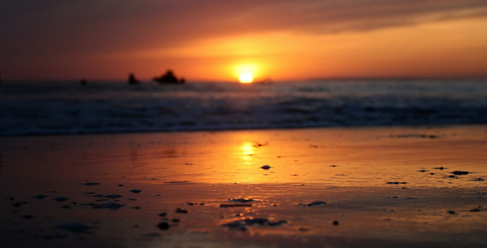 silhouette of people on beach during sunset