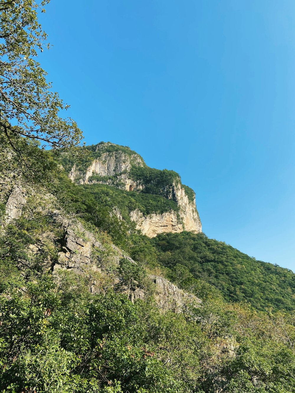 green trees on rocky mountain under blue sky during daytime