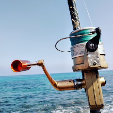 black and brown fishing rod with reel