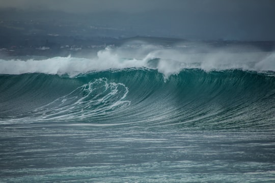 Azores things to do in Praia do Areal de Santa Bárbara