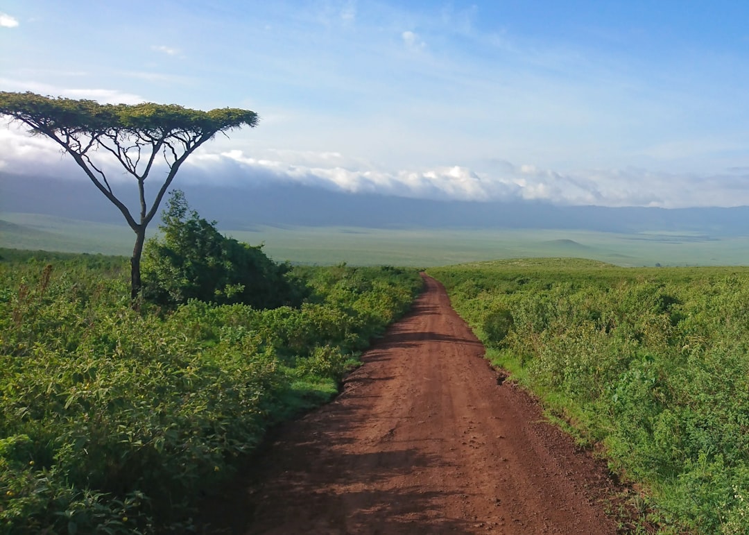 Wildlife Wonders and Family Fun: Why Tanzania is Africa's Best Dest… — Wildlife Wonders and Family Fun