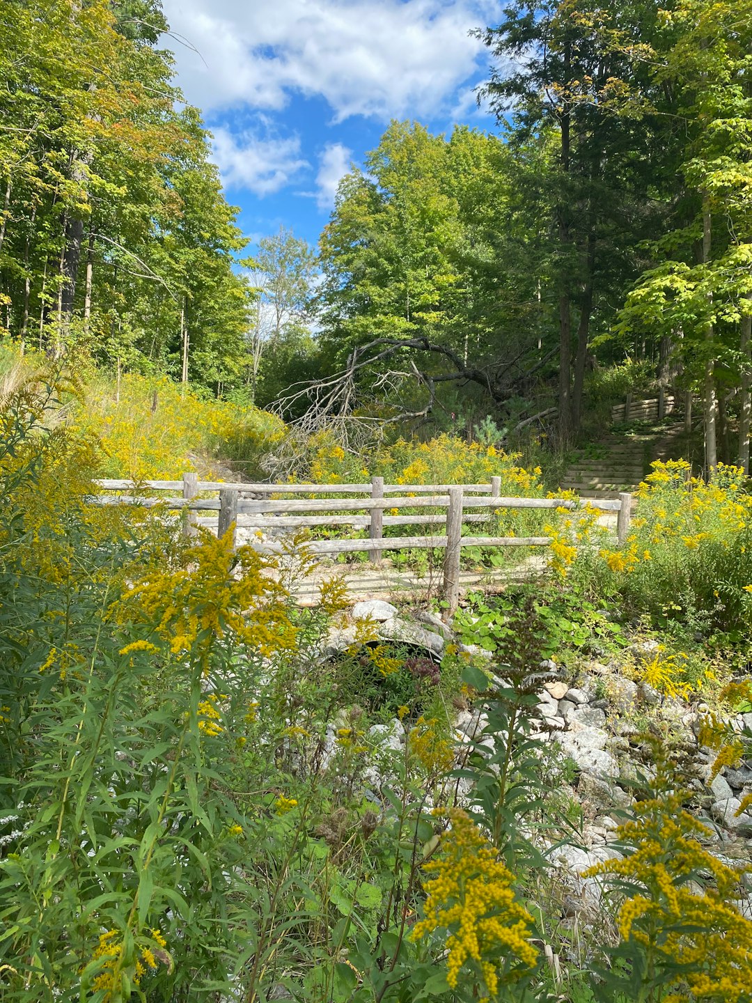 Nature reserve photo spot Boyd Conservation Area Springwater Provincial Park