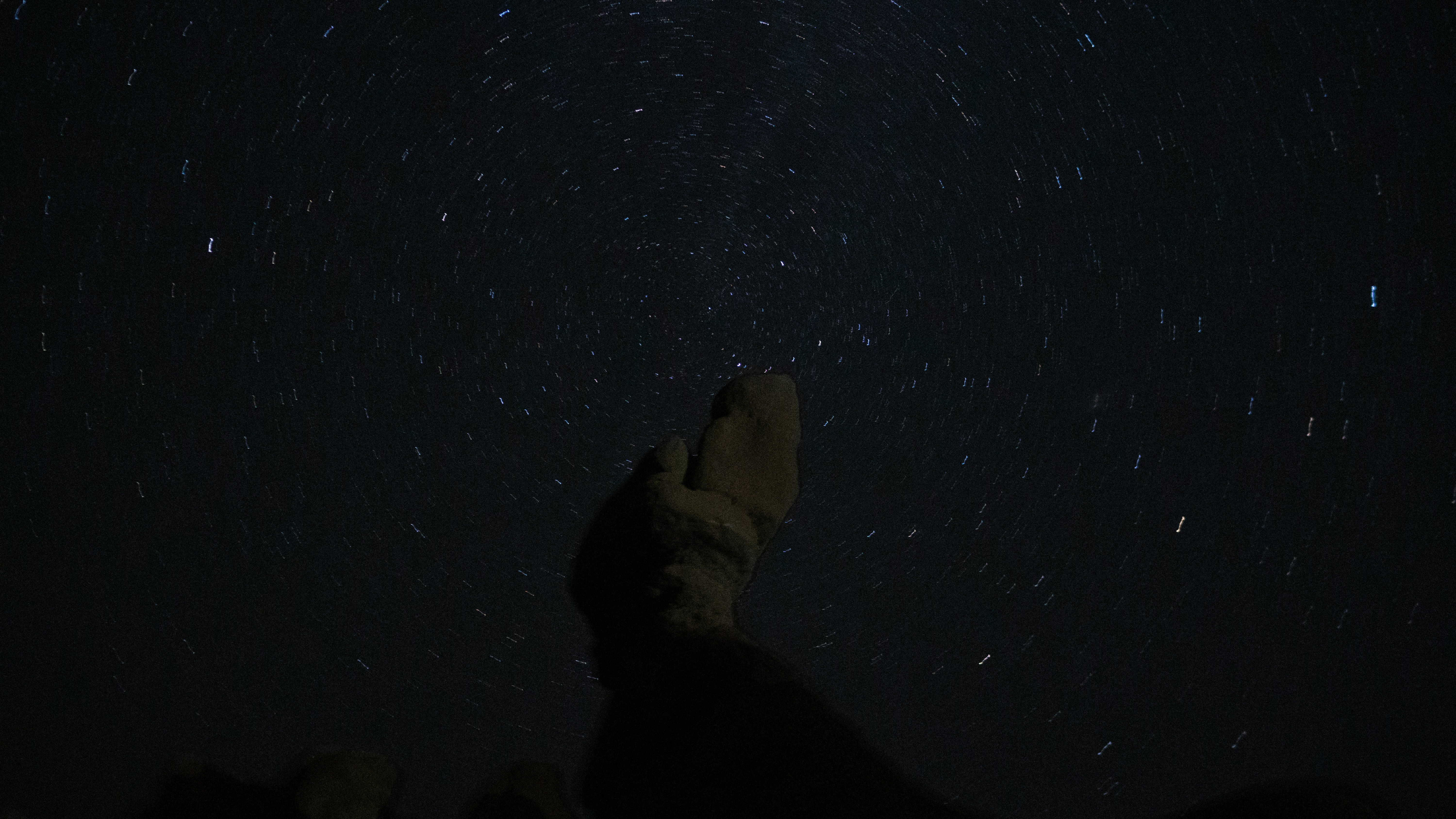 Stem Cell Banking: Your Personal Regenerative Insurance Policy