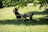 A person is relaxing on a lawn chair in a grassy area, partially shaded by tree branches. They are using a smartphone and have a laptop open on a small table in front of them. The scene suggests leisure or remote work in an outdoor setting.