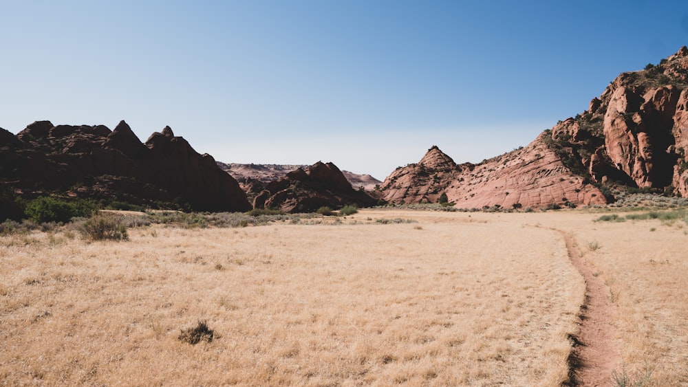 brown rock formation on brown sand during daytime