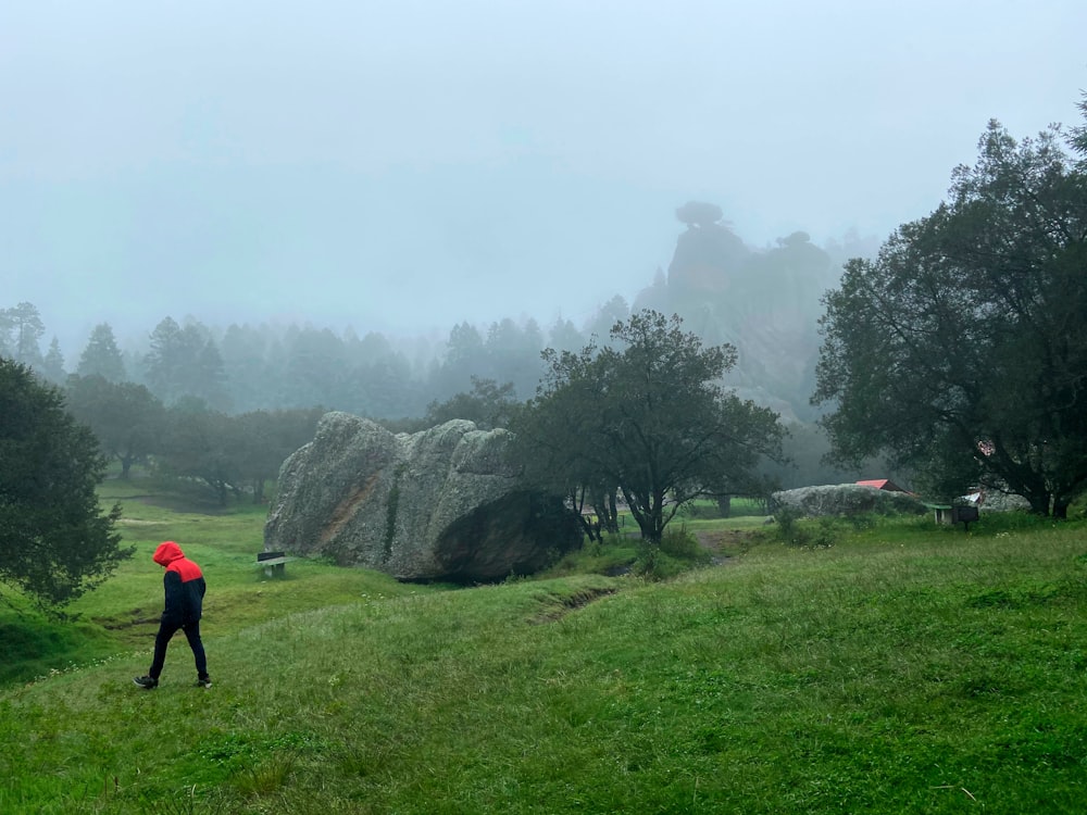 person in red jacket standing on green grass field during foggy weather