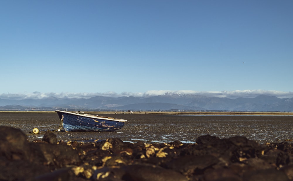 blue and white boat on seashore during daytime