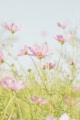 Techniques naturelles accessible en naturopathie - Mylène Adico
