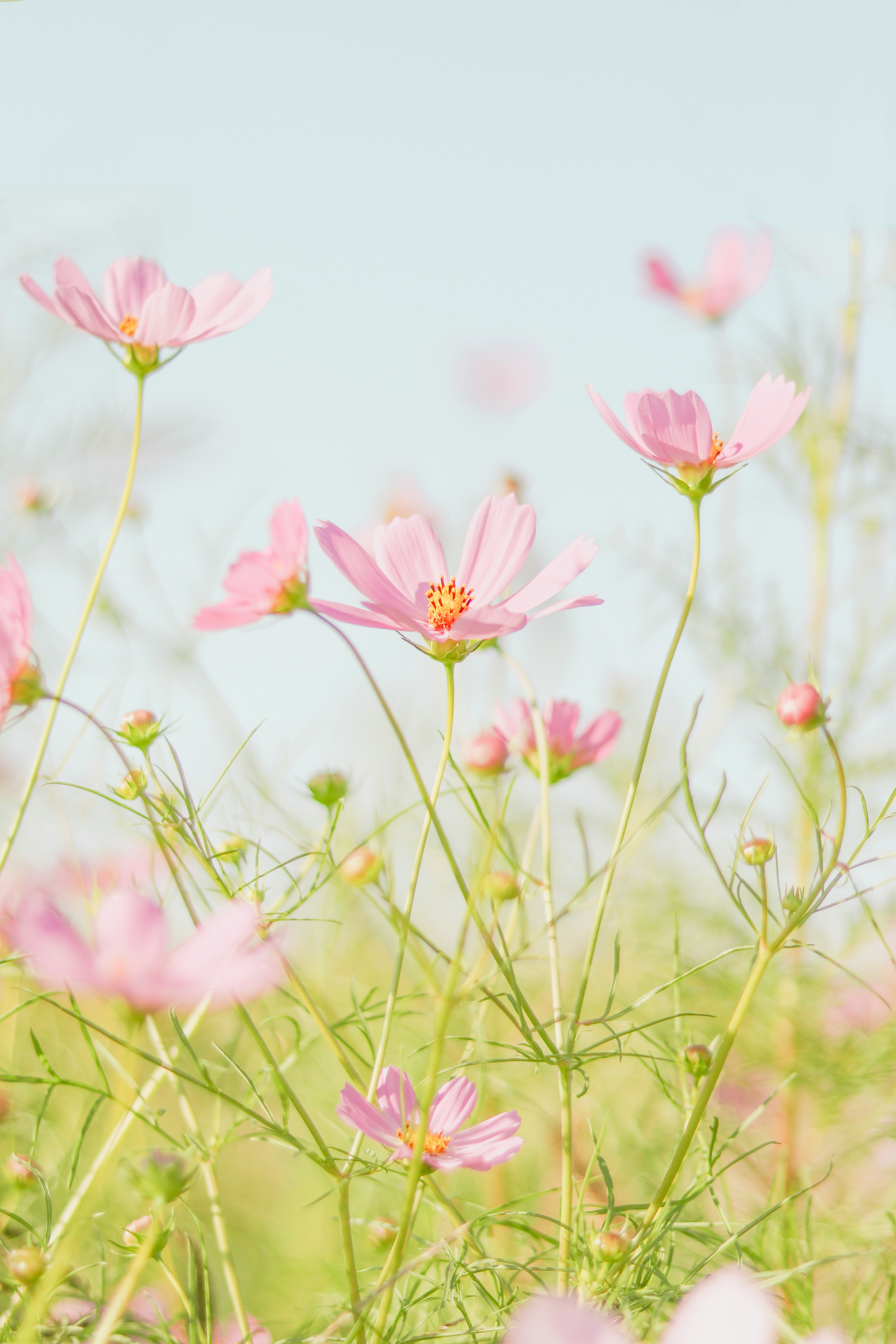 photo by Jei Lee(https://unsplash.com/@babybluecat?utm_source=templater_proxy&utm_medium=referral) on Unsplash|600x300