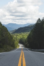 gray concrete road between green trees under white clouds and blue sky during daytime