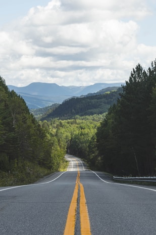 gray concrete road between green trees under white clouds and blue sky during daytime