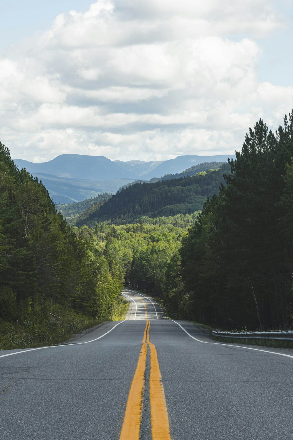 gray concrete road between green trees under white clouds and blue sky during daytime