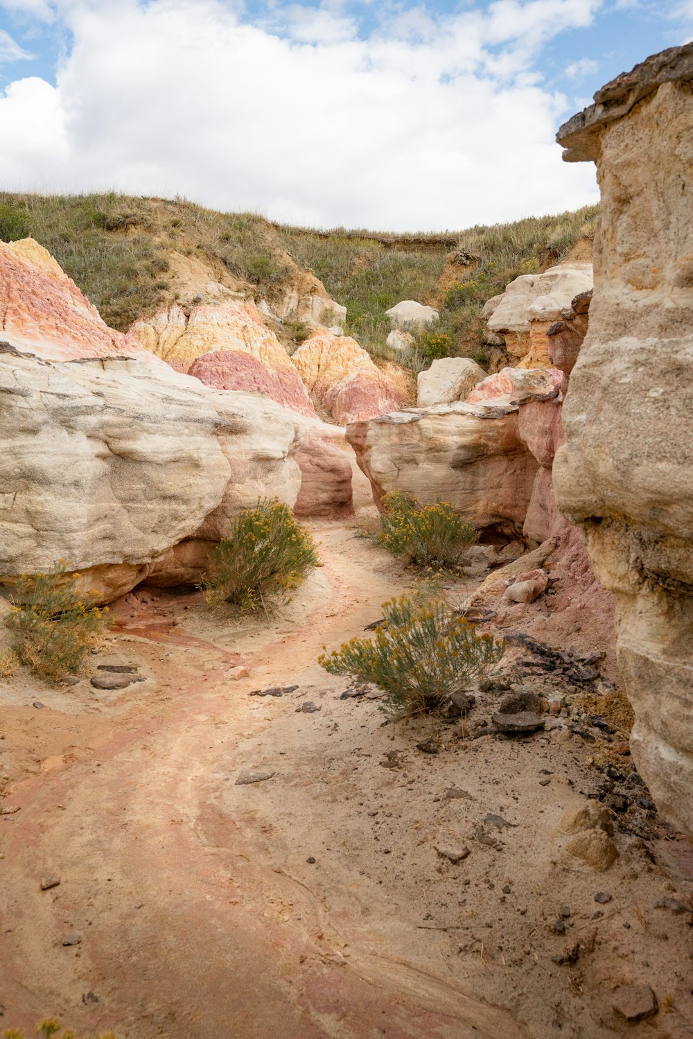 brown rock formation near green grass during daytime