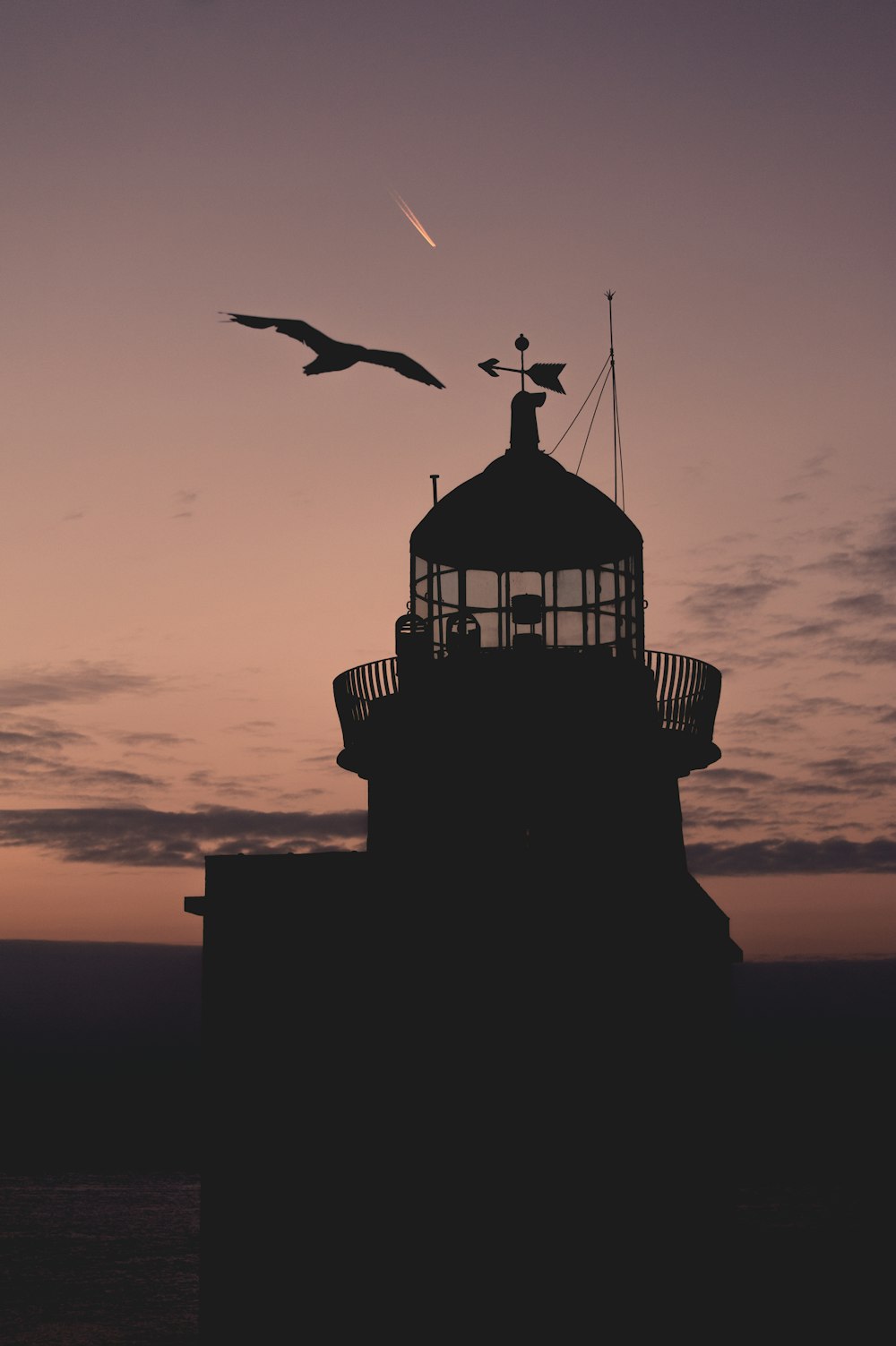 silhouette of bird flying over the building during sunset