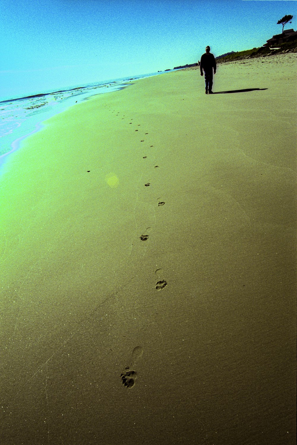 pedras verdes e brancas na costa da praia durante o dia