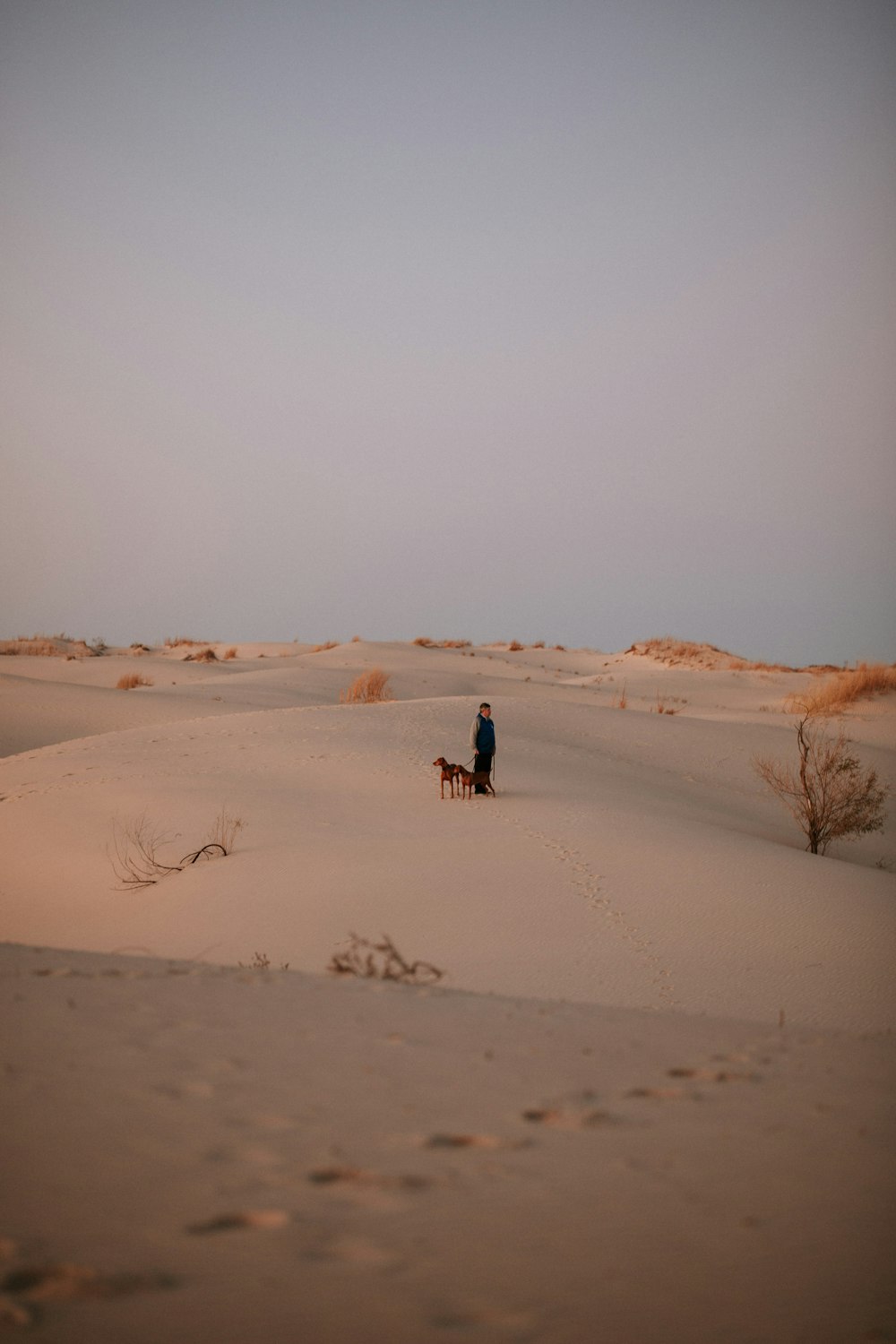 Persona in giacca nera che cammina nel deserto durante il giorno