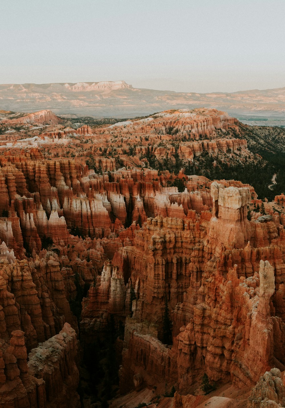 brown rock formation during daytime