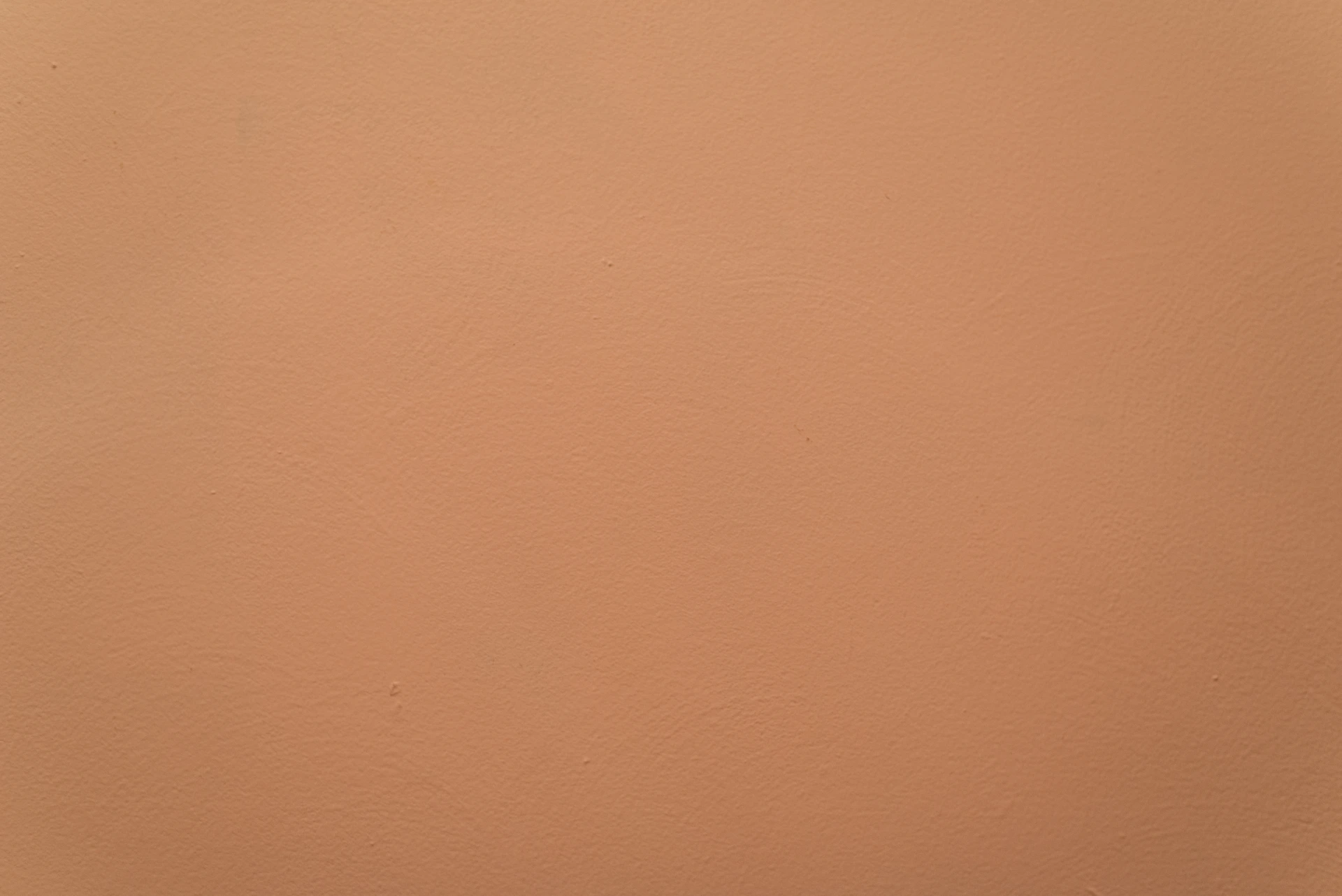 white wall paint with white paint