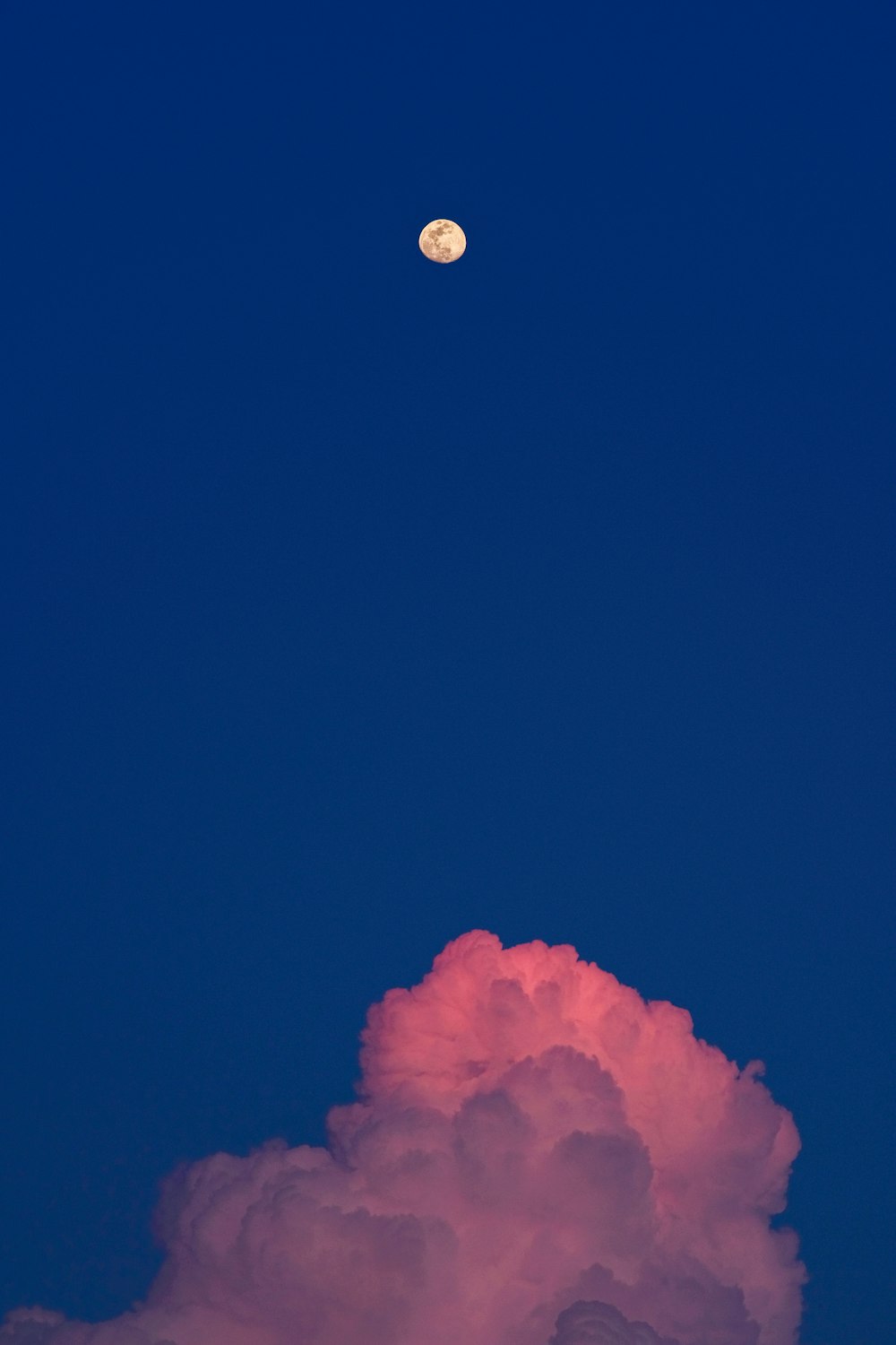 pink clouds and blue sky