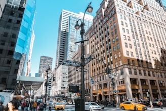cars on road near buildings during daytime