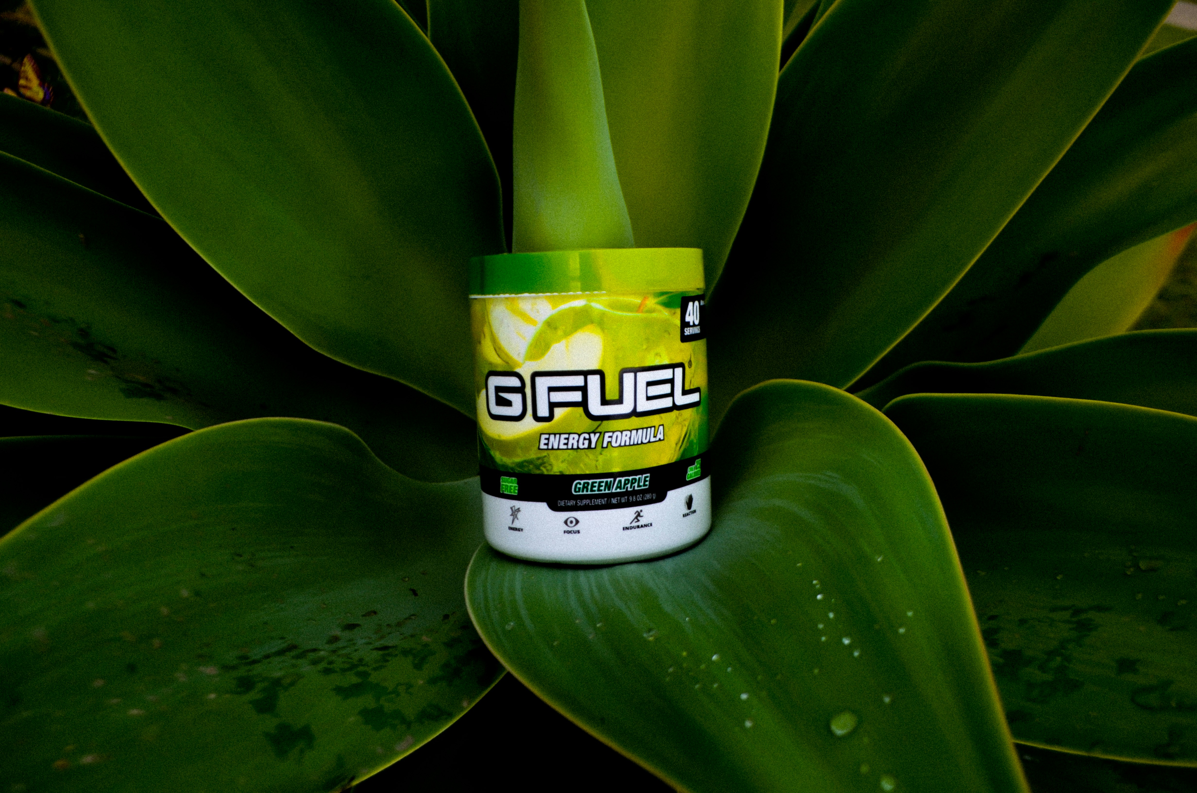 Premium Supplements for Optimal Health