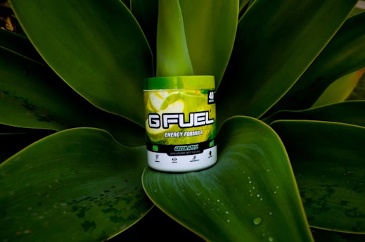 A container of G Fuel energy formula, with a green apple flavor, is placed on the large, glossy leaves of a green plant. The container is predominantly green with bright branding, and the leaves have visible droplets of water.