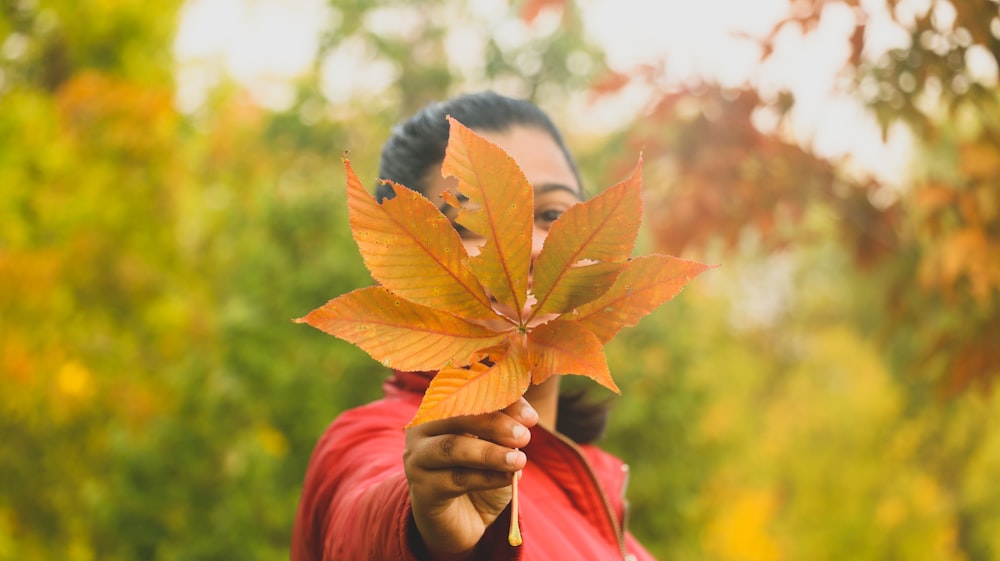 woman in red hijab holding yellow and green leaves