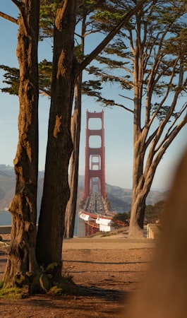 Red and white bridge over the trees
