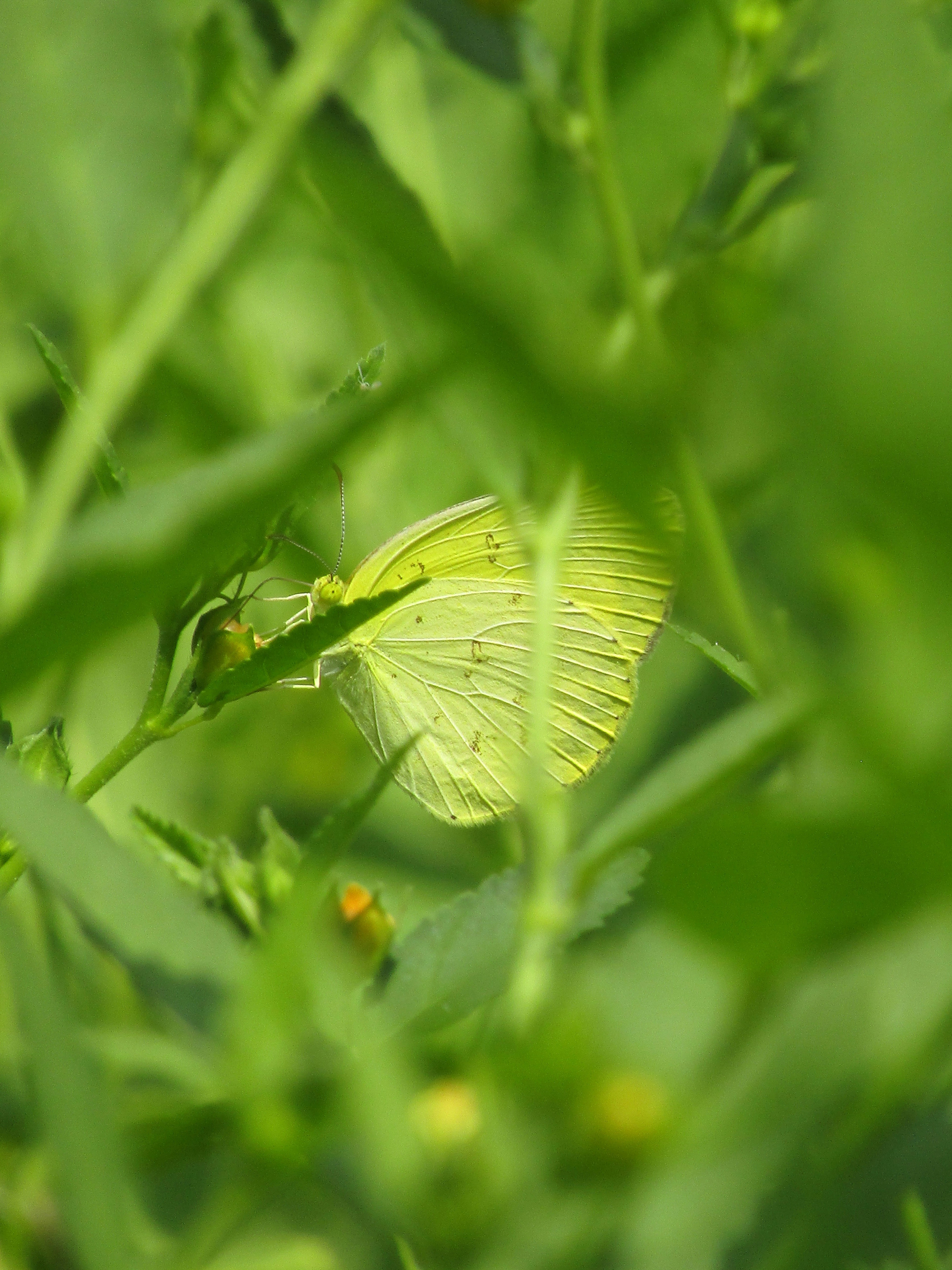 Photo by who_fardeen_