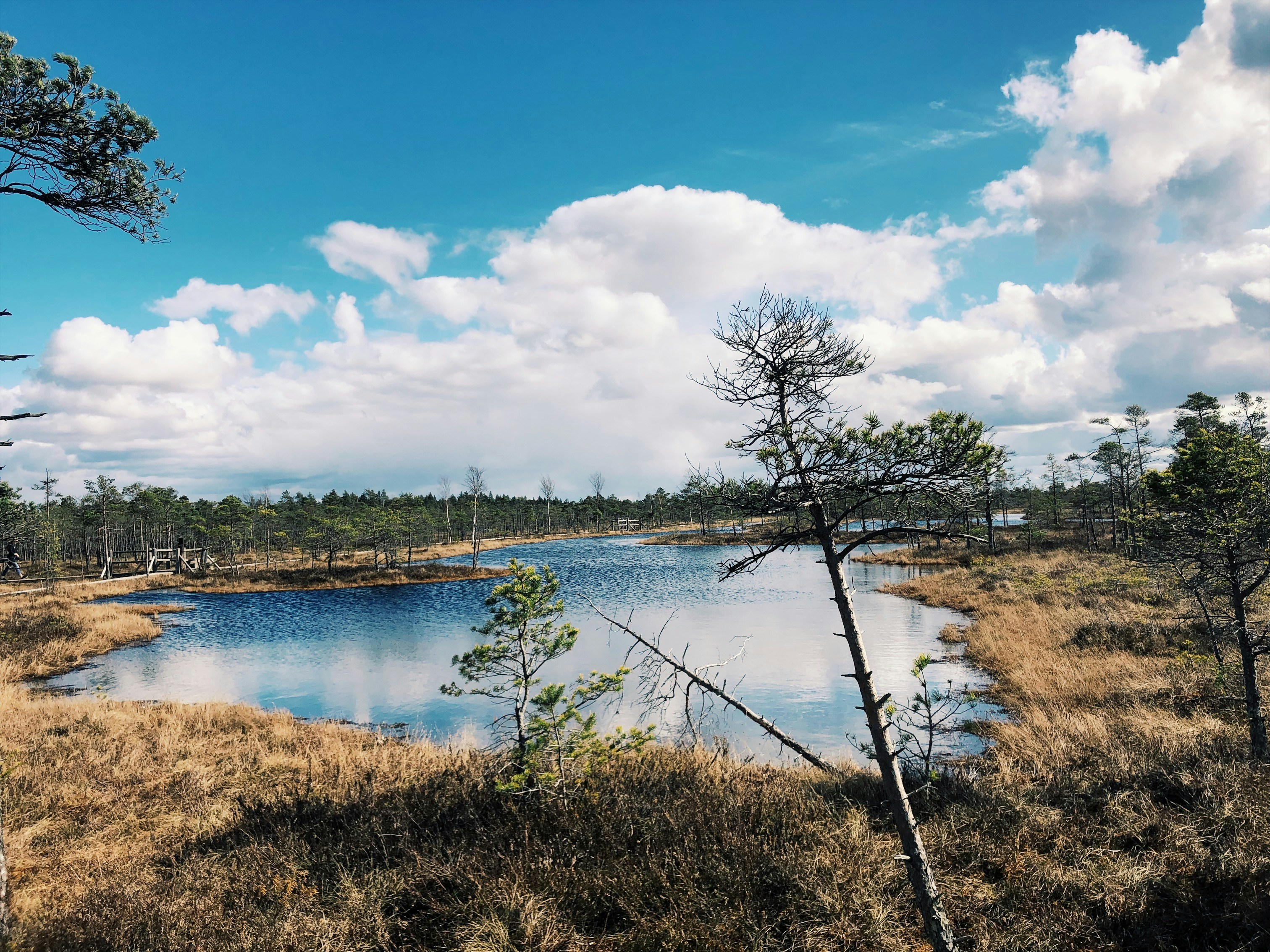 Photo by elinaradionovagirsa